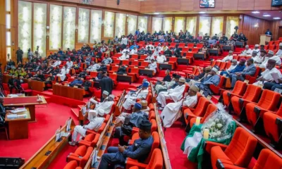 Nigerian Senate