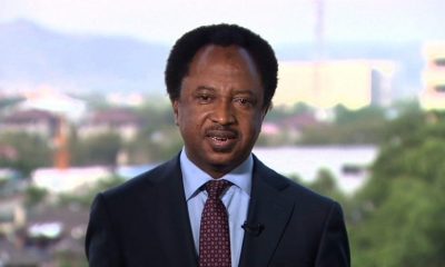 Shehu Sani