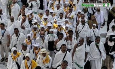 AFP 20240604 34V49DE v1 Preview SaudiReligionIslamHajj 768x512 1