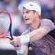 ANDY MURRAY