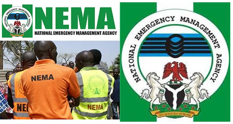 National Emergency Management Agency - NEMA