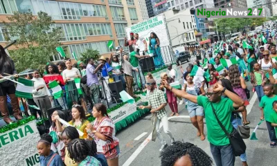 Giving the Nigerian Diaspora a motive to take part in the economic growth