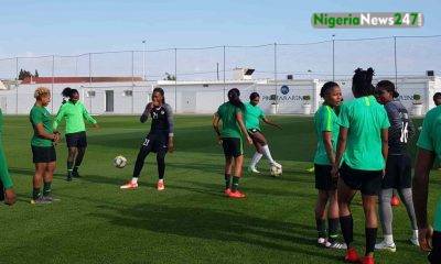 NFF Employs Two Additional Foreign Coaches for Super Falcons min 1