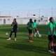 NFF Employs Two Additional Foreign Coaches for Super Falcons min 1