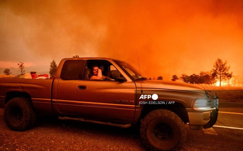 Wildfire