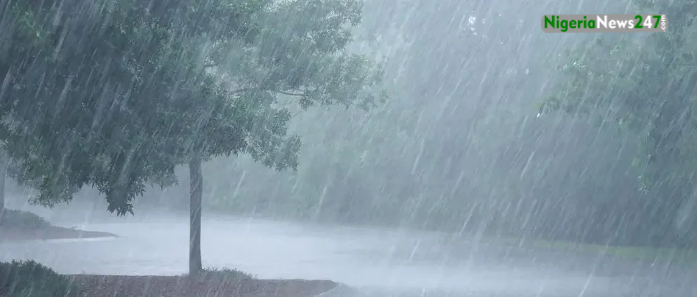 heavy rain 1024x427 1