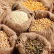 maize