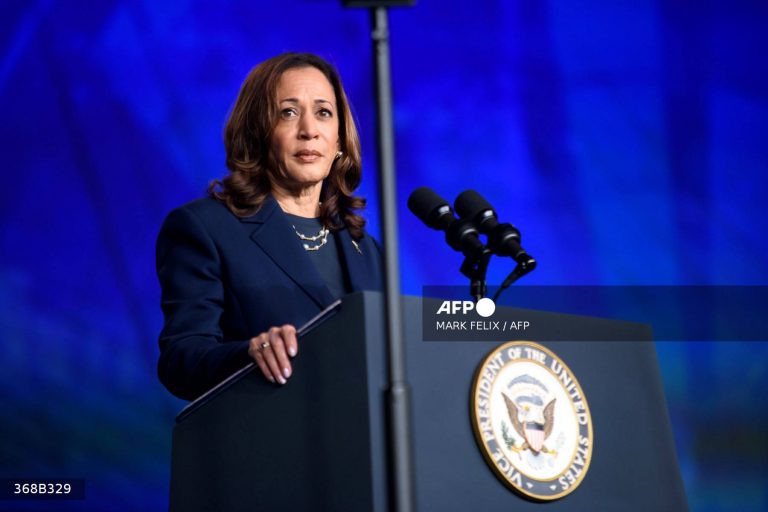 AFP 20240801 368B329 v1 Mockup UsVotePoliticsHarris 768x512 1