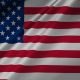 U.S Flag