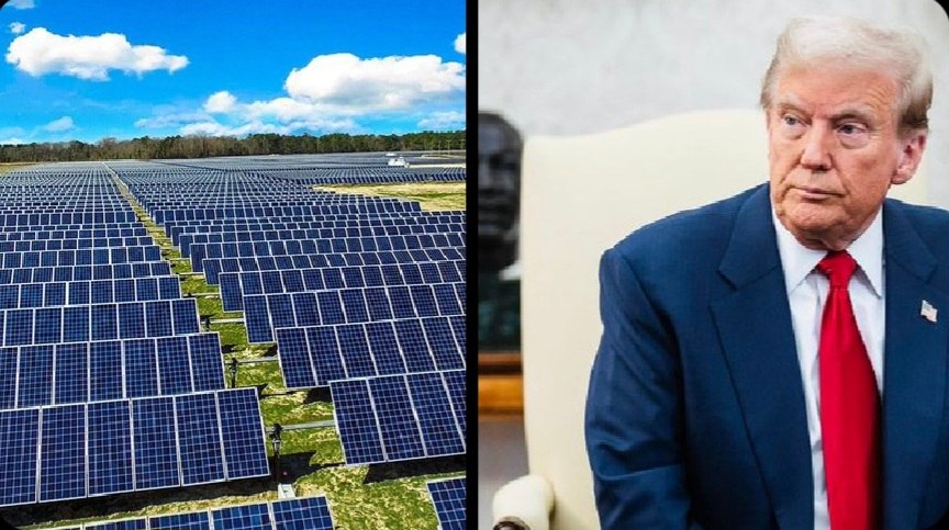 Donald Trump and Solar Panels