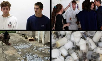 Two Belgian Teens Arrested in Kenya for Smuggling 5,000 Live Ants Worth ,700