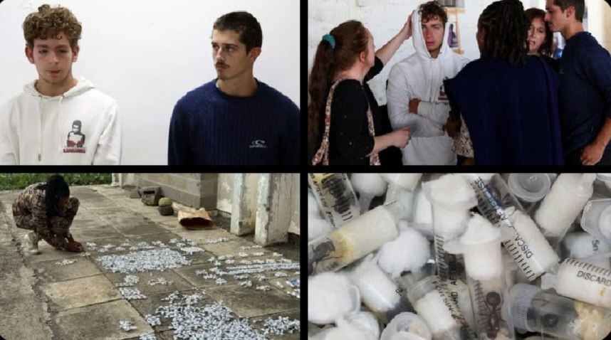 Two Belgian Teens Arrested in Kenya for Smuggling 5,000 Live Ants Worth ,700