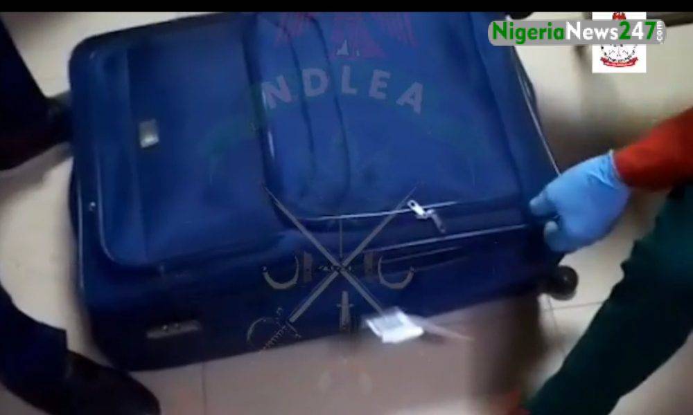 National Drug Law Enforcement Agency (NDLEA)