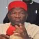 Chief Nnia Nwodo