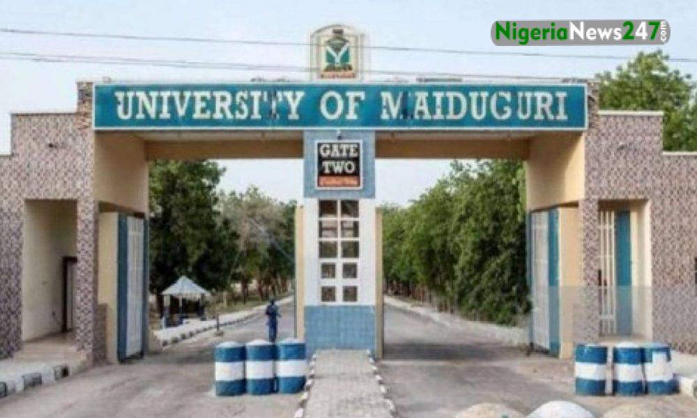University of Maiduguri (UNIMAID) main gate