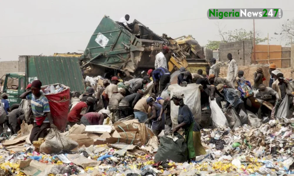 Waste Scavengers in Nasarawa