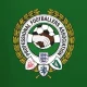 Professional Footballers’ Association (PFA)