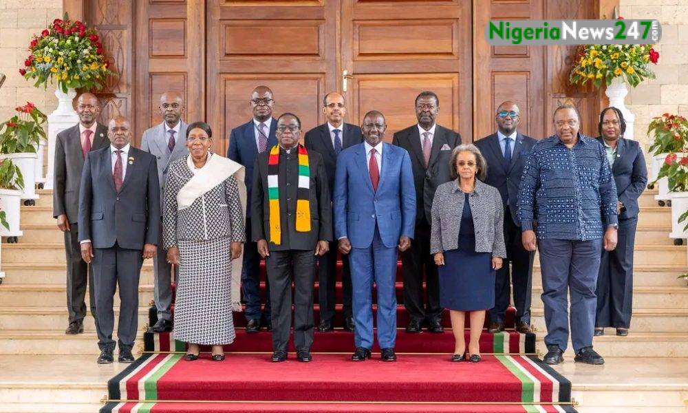 The African Union (AU)
