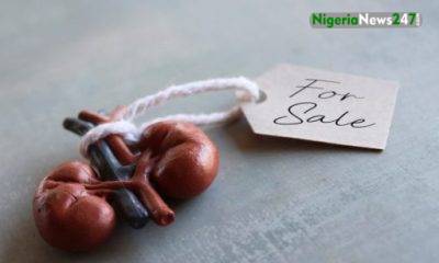 Kidney Trafficking