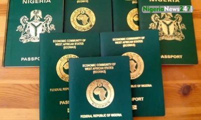 international passport