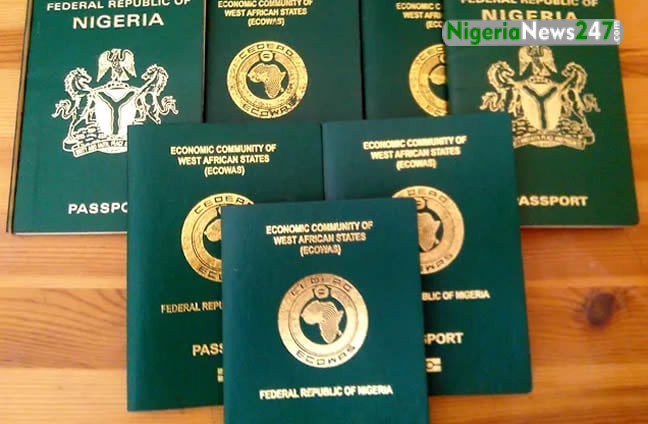 international passport