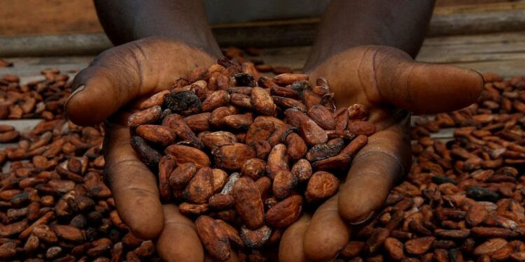 cocoa price